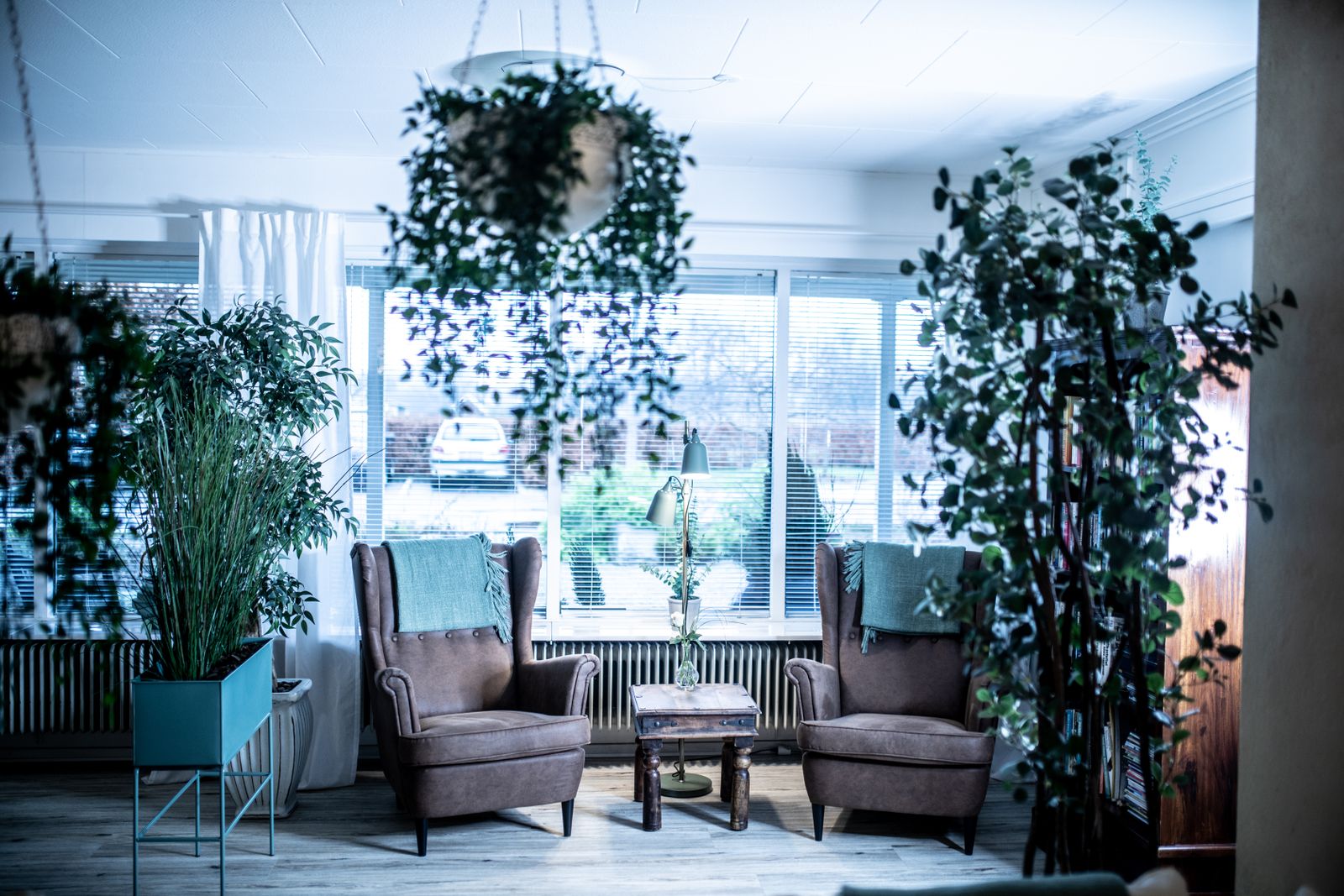 Interior of bright living room decorated with green pot plants and white blinds on window
